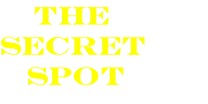  the secret spot